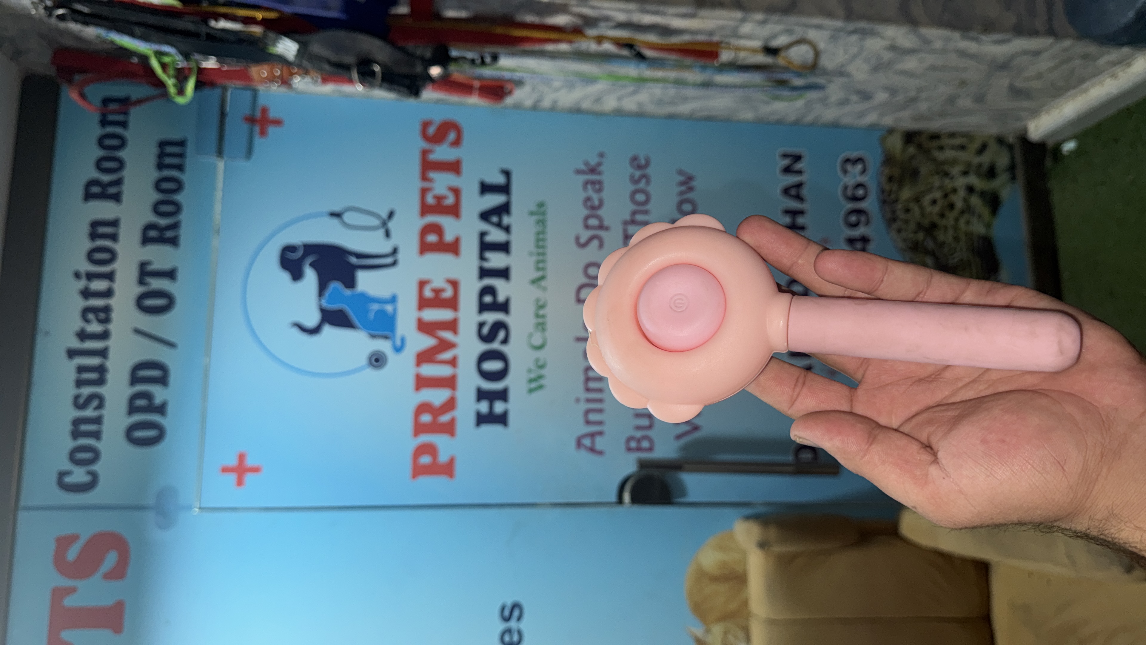 Pet accessories  — available at Prime Pets Hospital , B-17 Islamabad